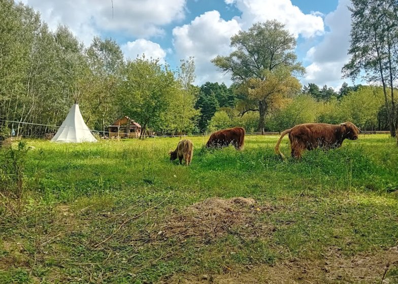 7 Najlepszych Saun w Warszawie