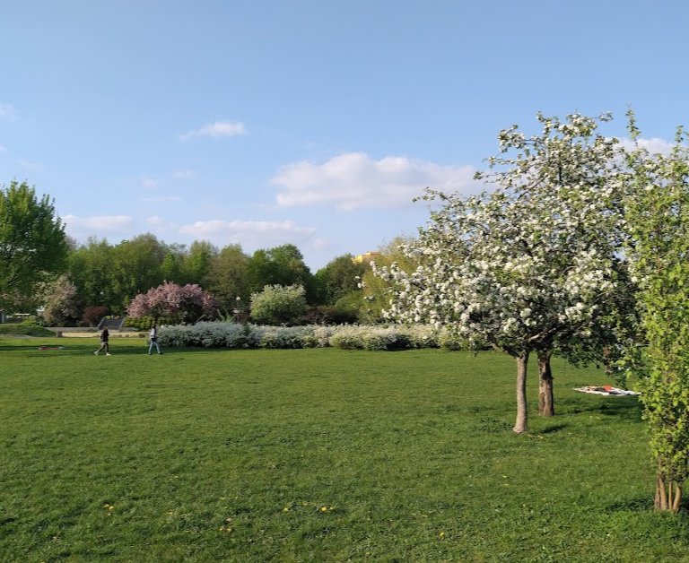 11 Najlepszych Parków w Warszawie