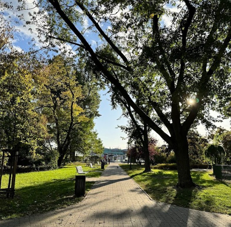 11 Najlepszych Parków w Warszawie