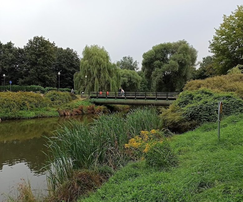 11 Najlepszych Parków w Warszawie