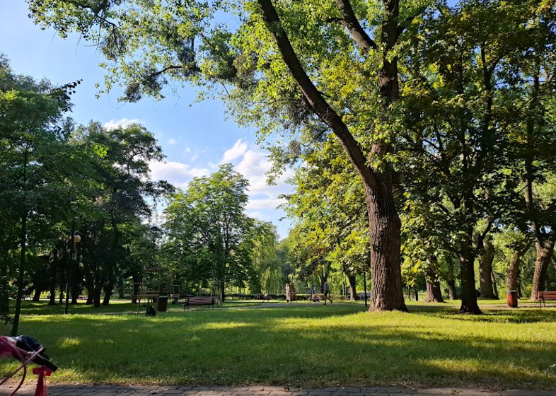 11 Najlepszych Parków w Warszawie