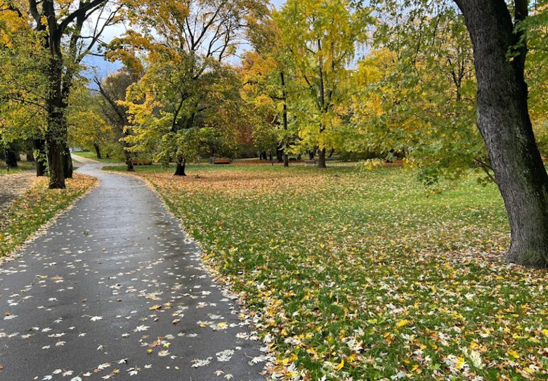 11 Najlepszych Parków w Warszawie