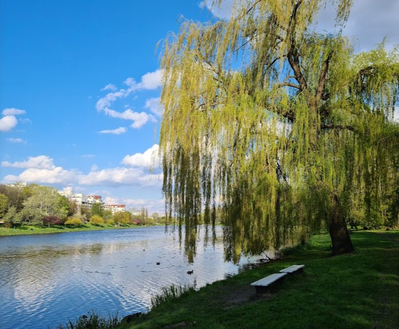 11 Najlepszych Parków w Warszawie